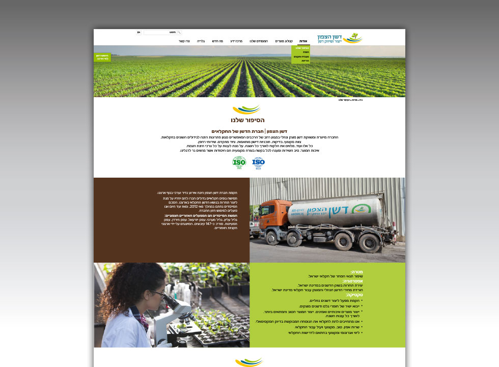 בניית אתרים