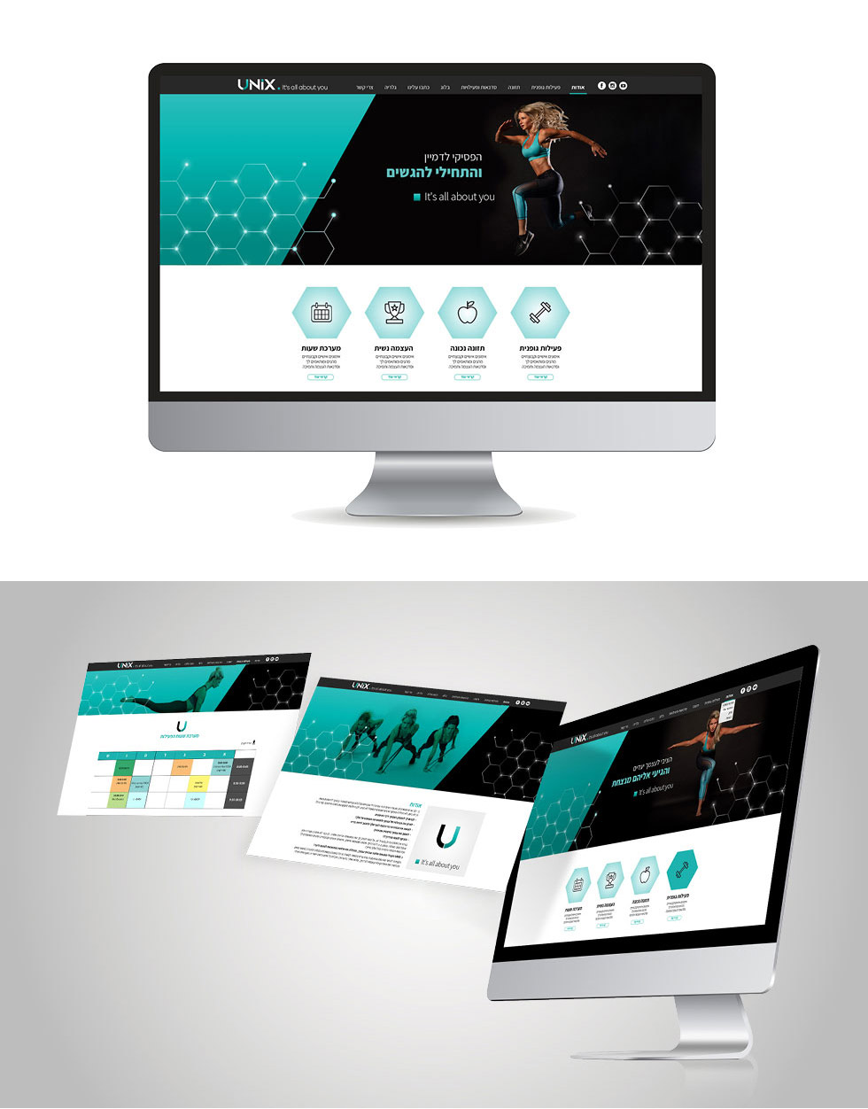 עיצוב ובניית אתר