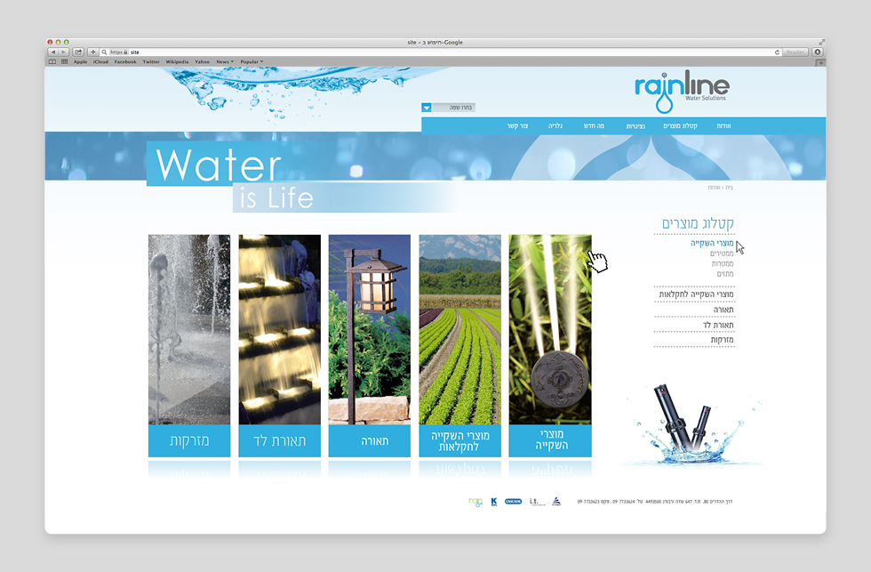 עיצוב ובניית אתר