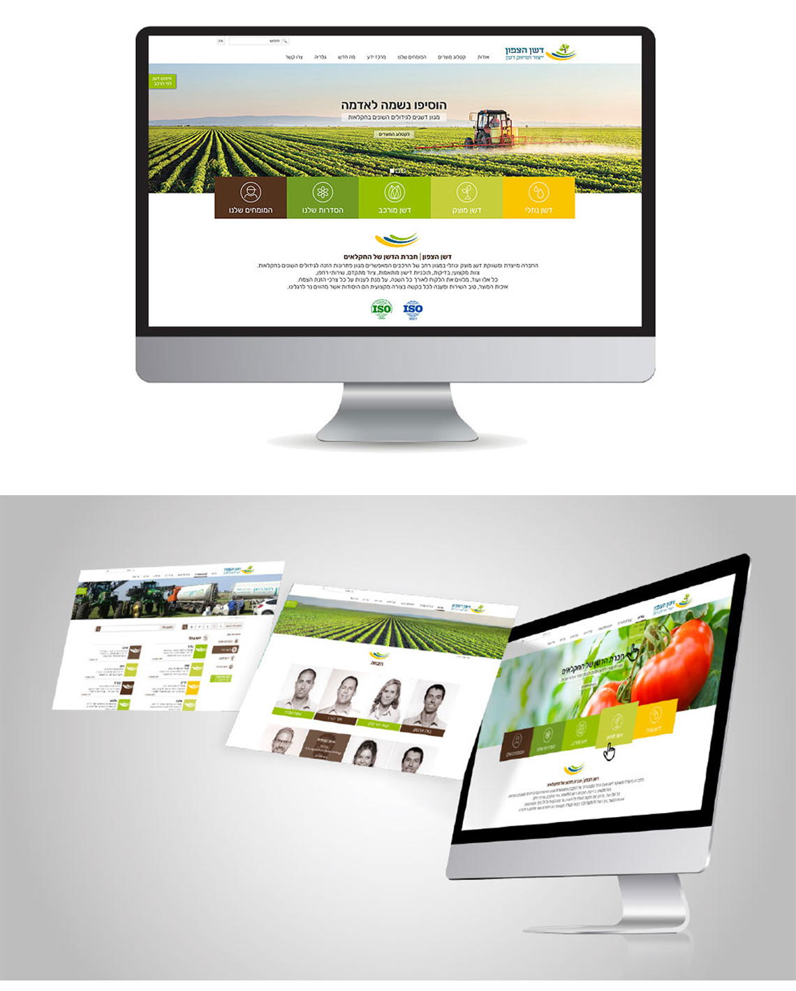 עיצוב ובניית אתר